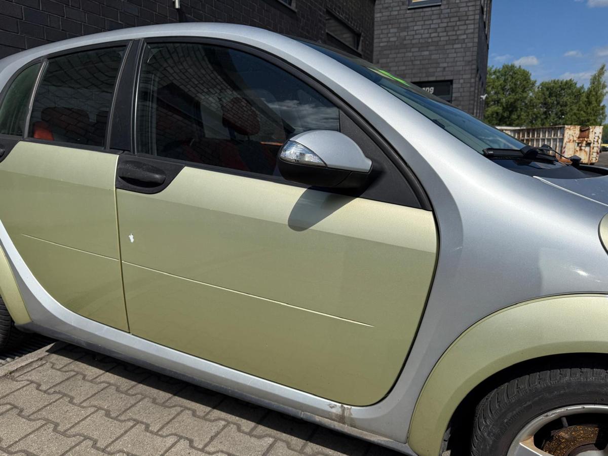 Smart ForFour 454 original Tür vorn rechts EAR Melon Green Rohbau BJ05